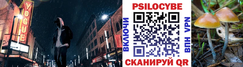 купить закладку  Ревда  Псилоцибиновые грибы Psilocybine cubensis 